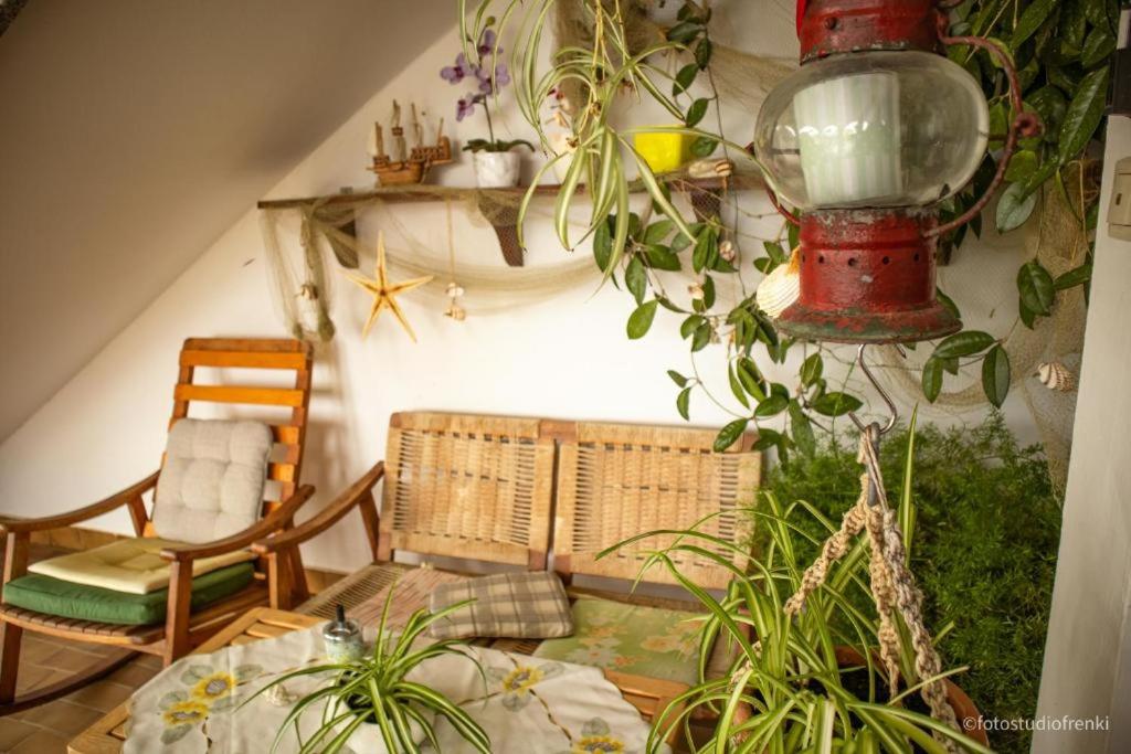Guesthouse Marija II photo 1