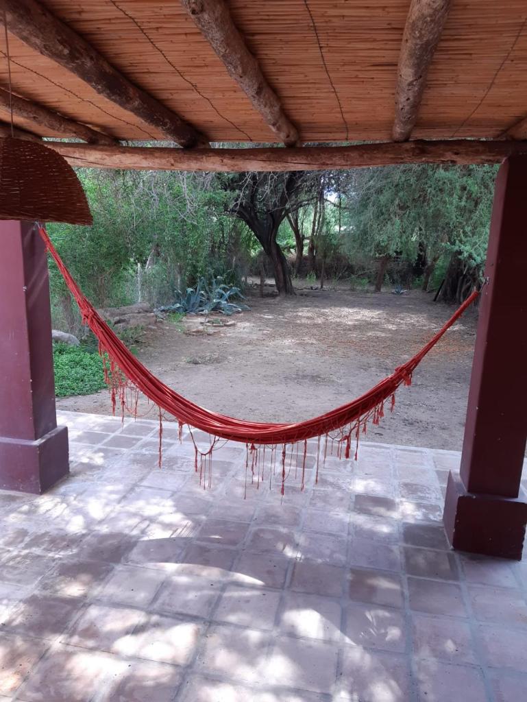 La casa Roja photo 2