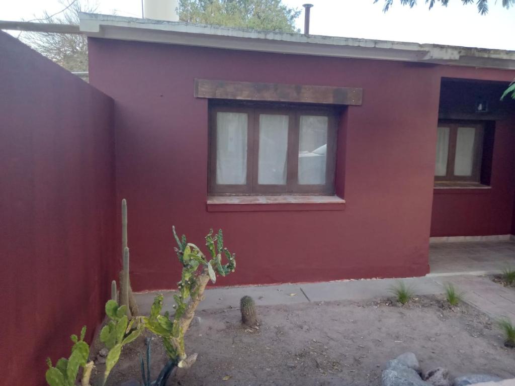 La casa Roja photo 4