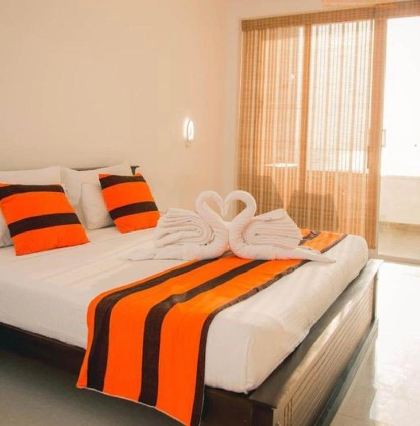 Rose Villa Accommodation photo 4