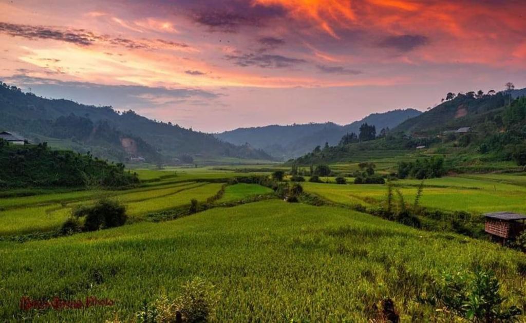 Bình Bản Liền Homestay