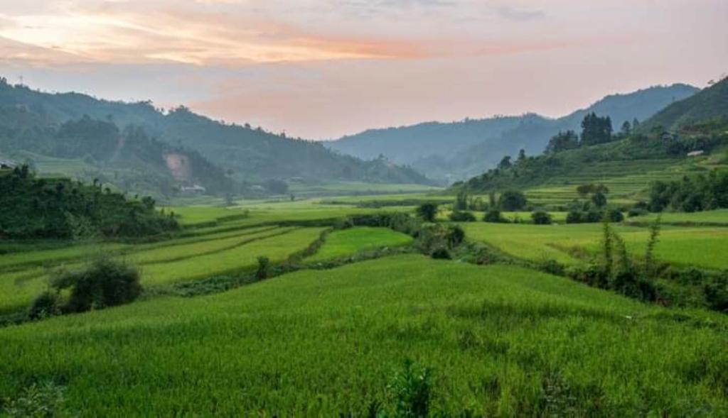 Bình Bản Liền Homestay