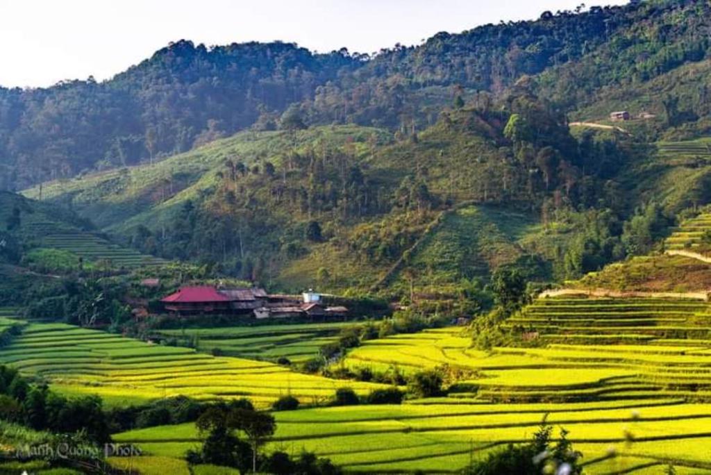 Bình Bản Liền Homestay