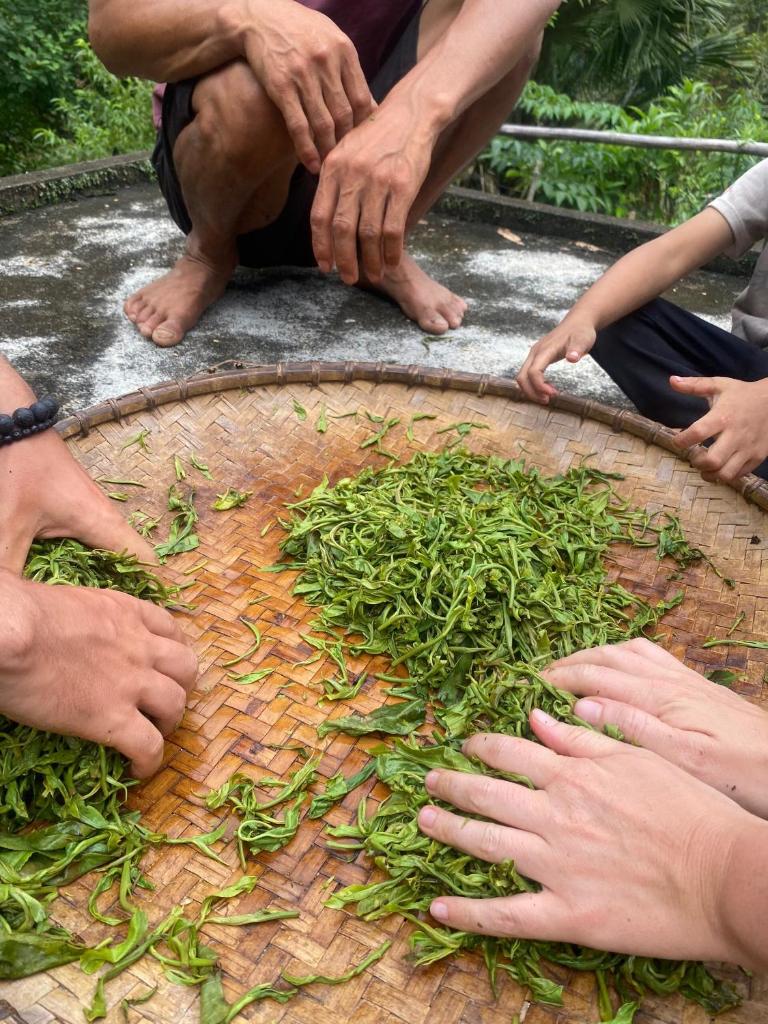 Bikki jungle homestay