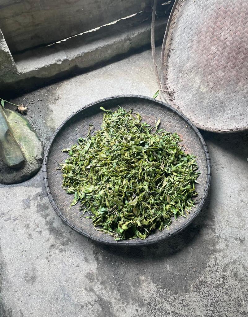 Bikki jungle homestay