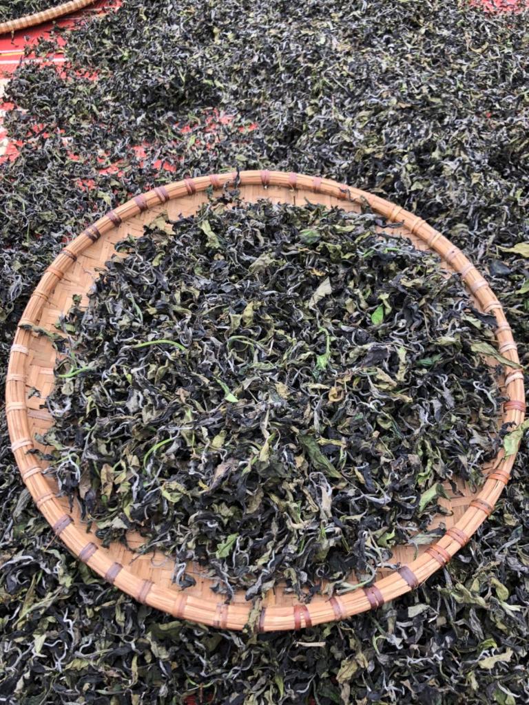 Bikki jungle homestay