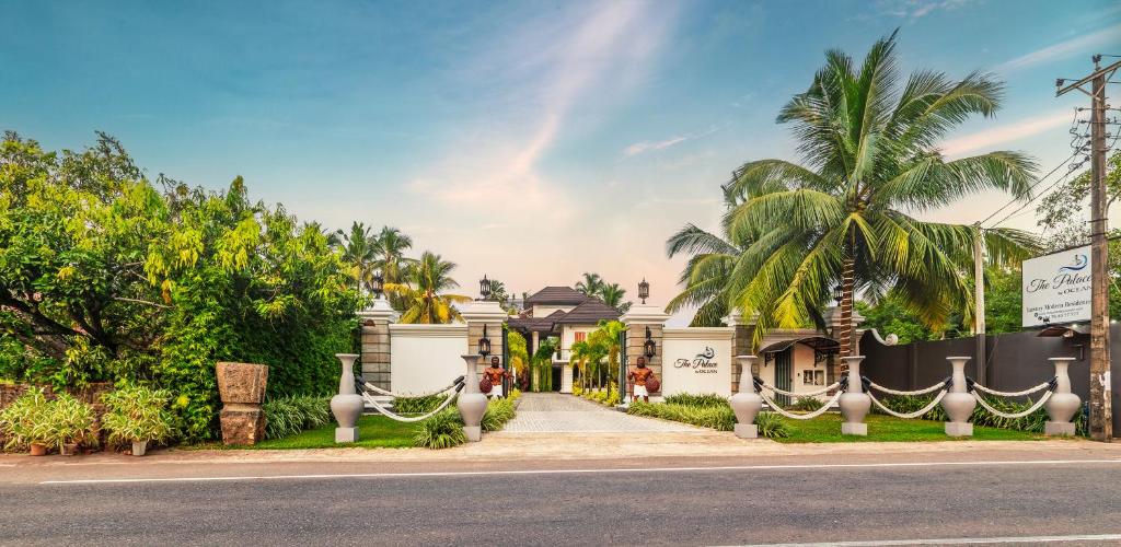 The Palace by Ocean photo 1