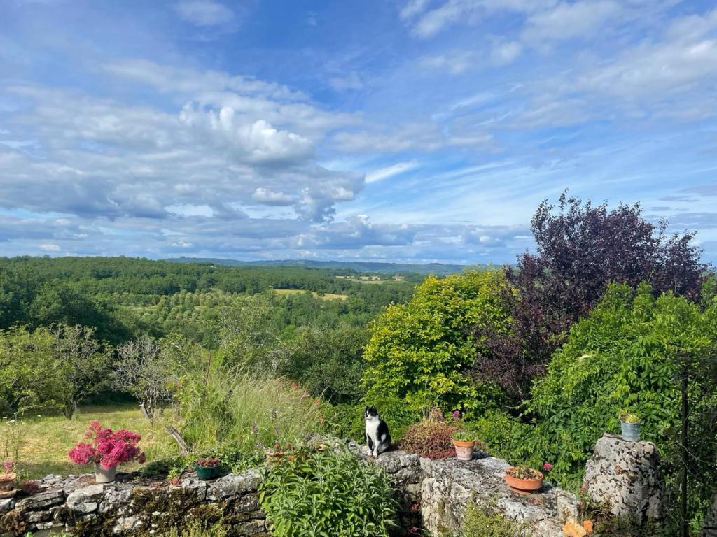 charmante maison avec belle vue photo 1