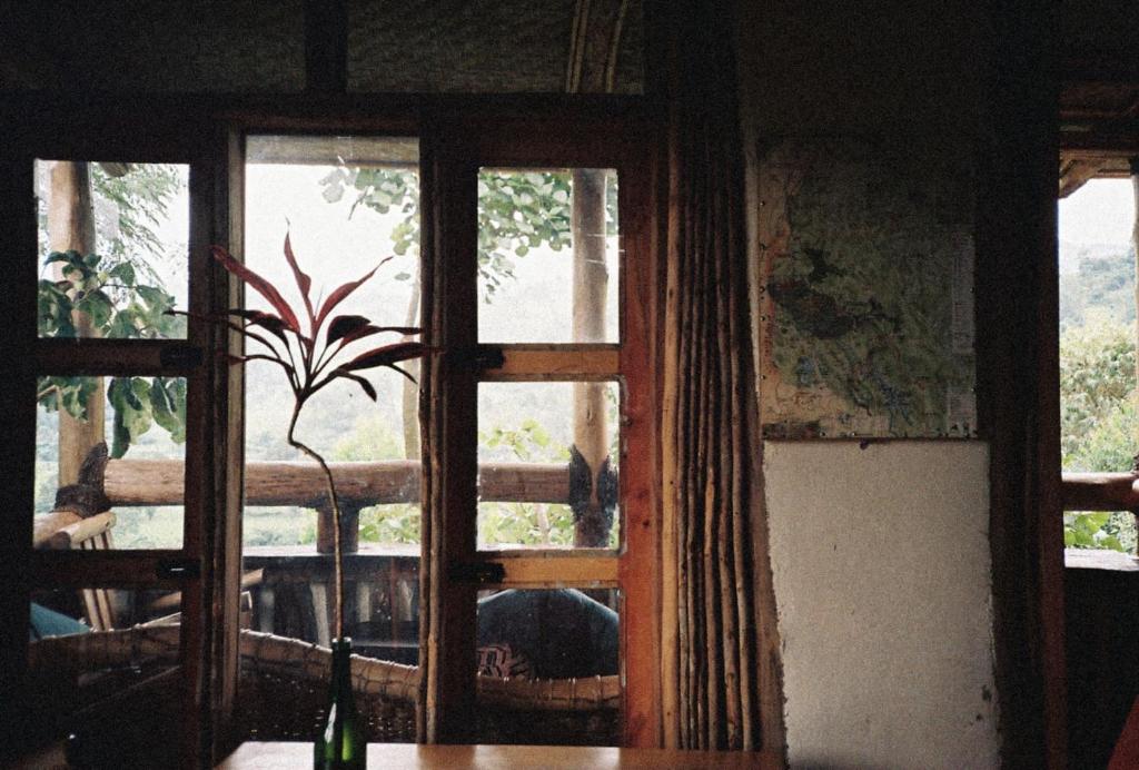 Bwindi My Home photo 4