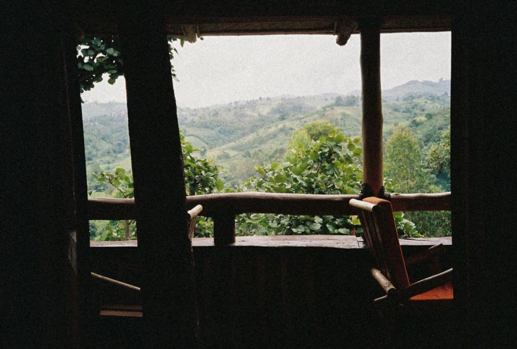 Bwindi My Home photo 2