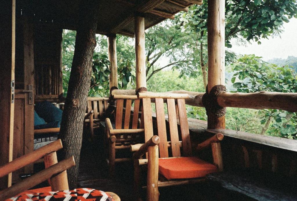 Bwindi My Home photo 1