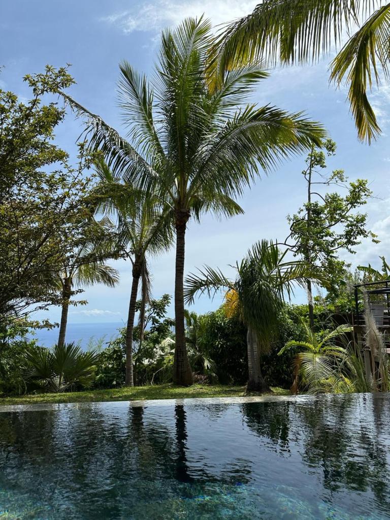 VILLA SAMAÉ - Charme, Jardin tropical, piscine & jacuzzi photo 4