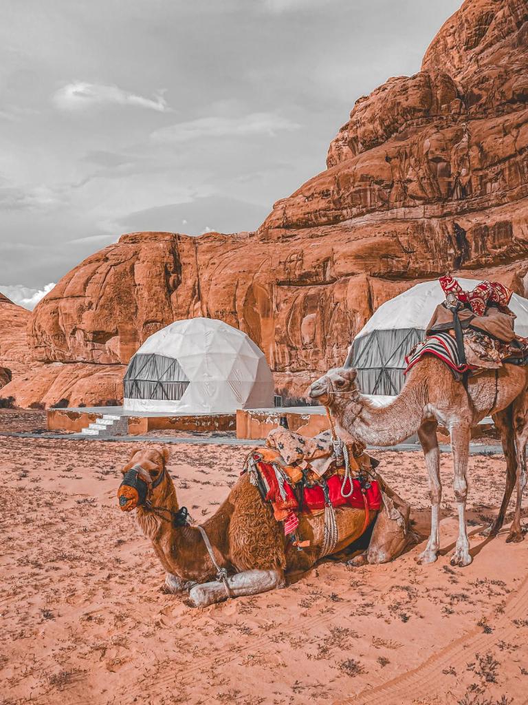 Desert Star Luxury Camp photo 3