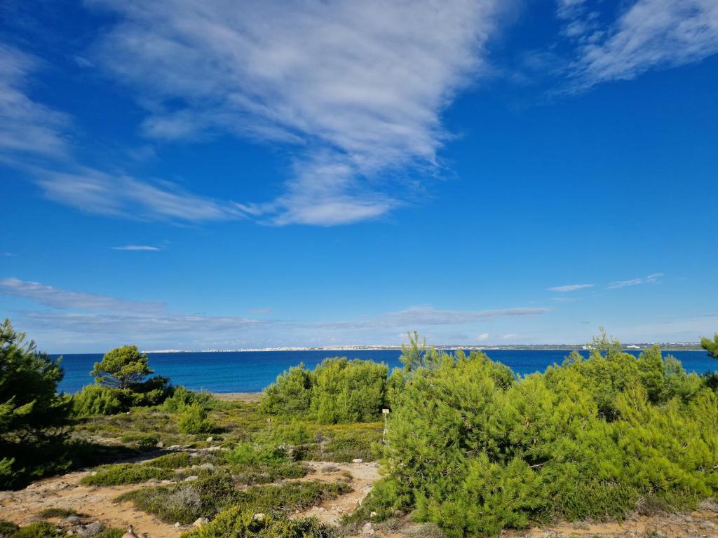 Villetta con pineta in Puglia vicino al mare photo 4