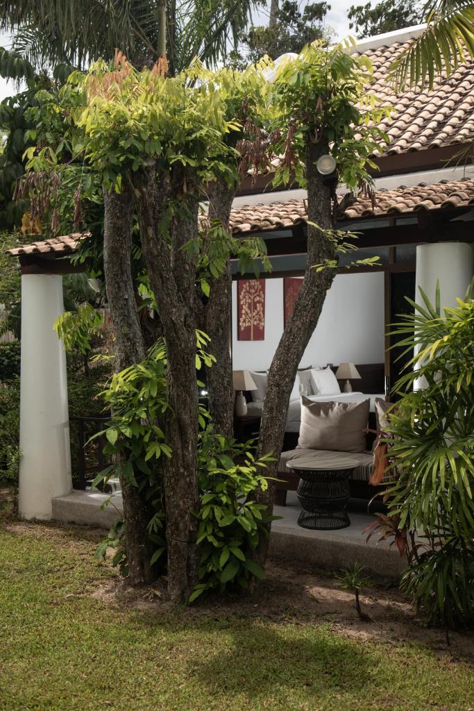 Celes Samui photo 3