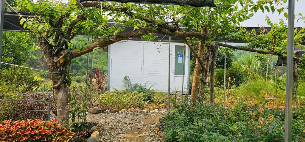 Jim House Homestay Hồng Hạ