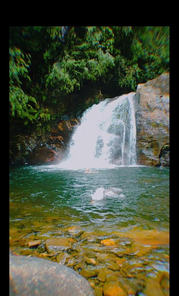 Sinharaja Greenvilla Homestay photo 2