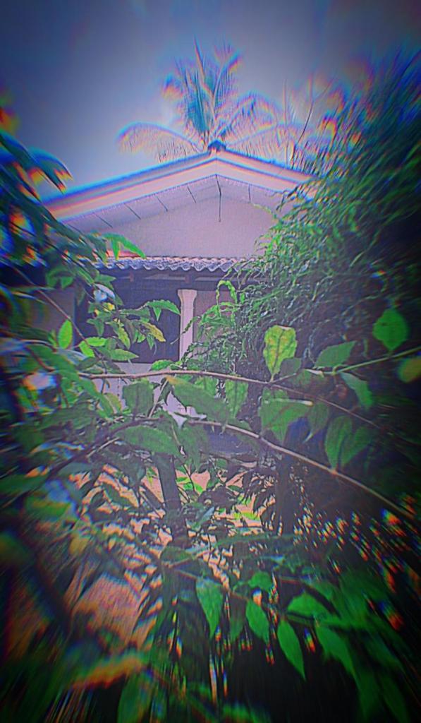 Sinharaja Greenvilla Homestay photo 3