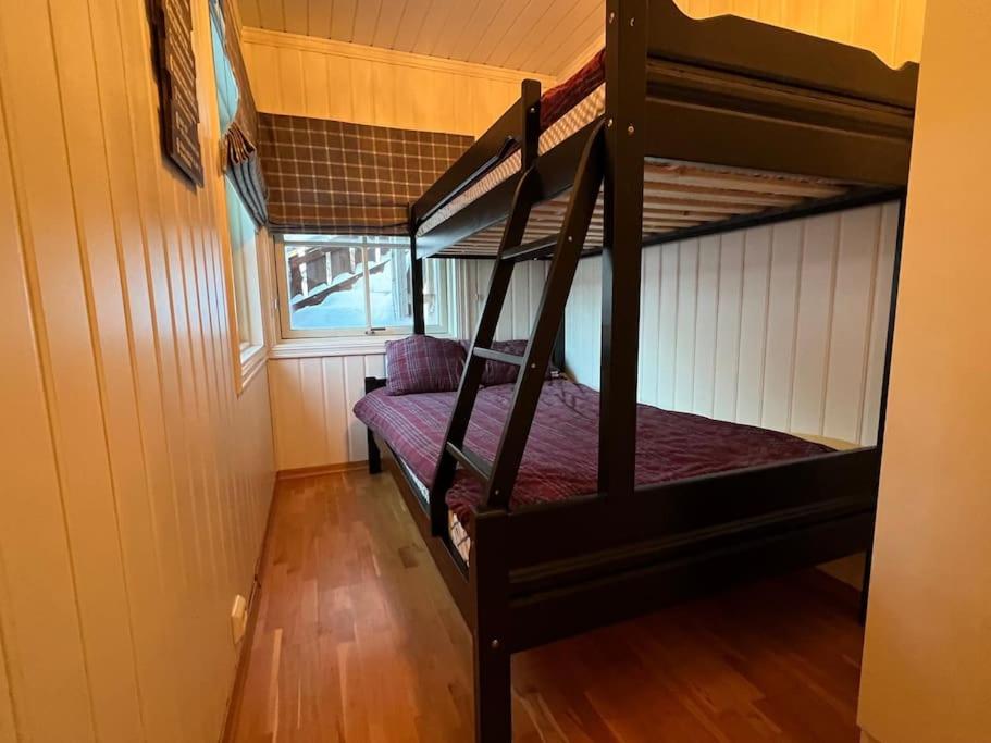Leilighet i Uvdal med nydelig utsikt. SKI INN/UT photo 3