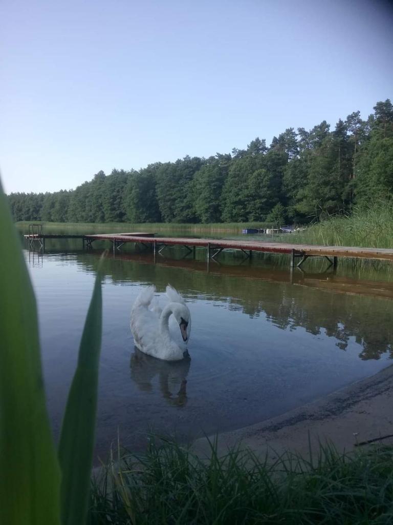 Siedlisko Kalimera photo 4
