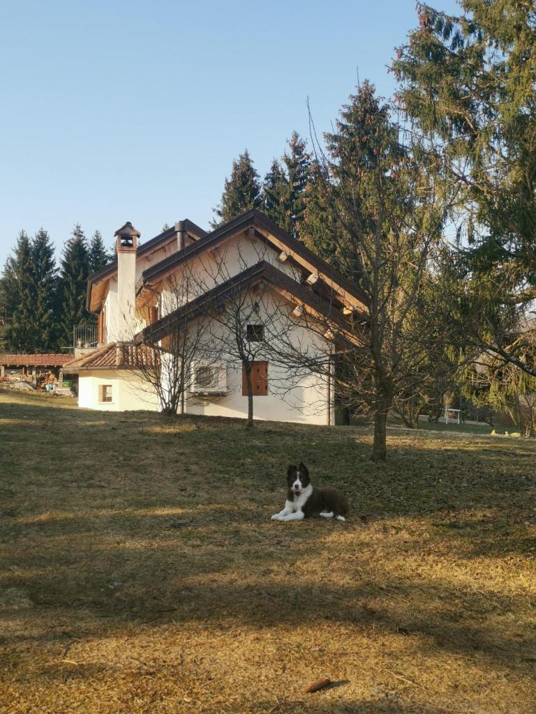 Il Rosmarino photo 1