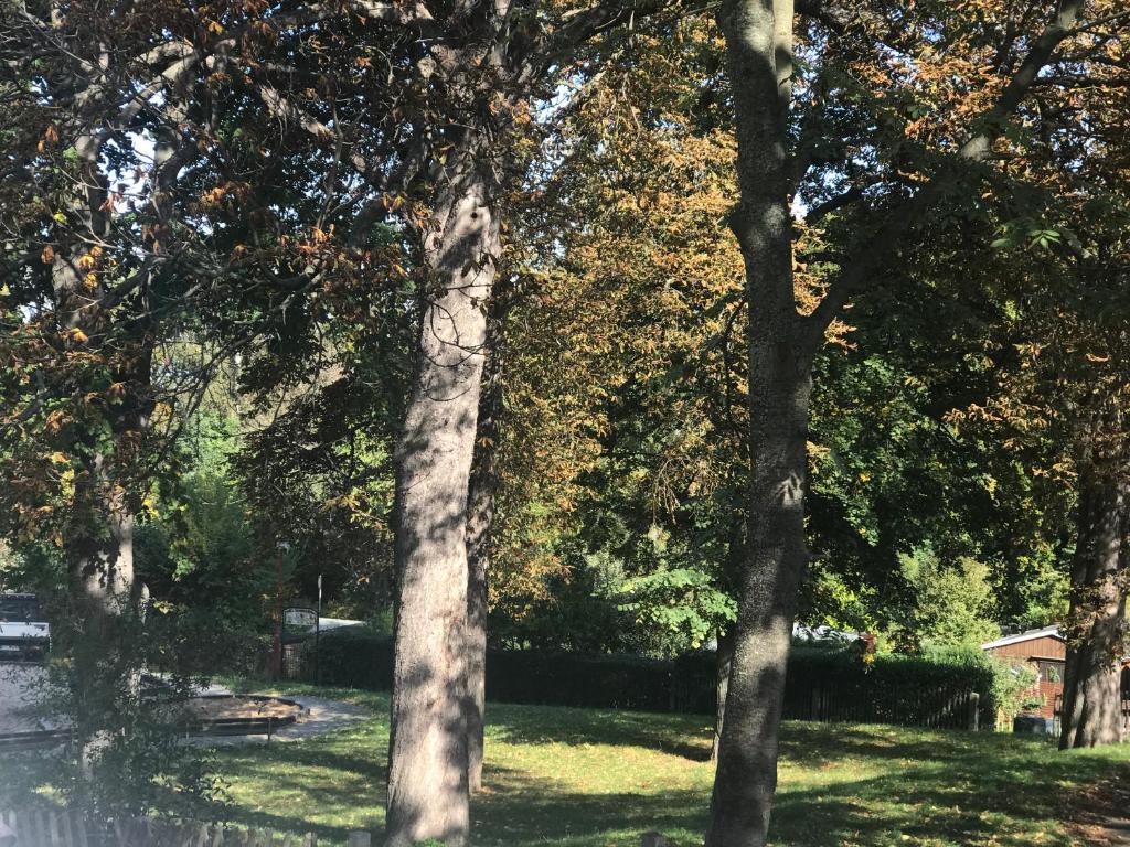 Domizil Eutschützblick photo 1