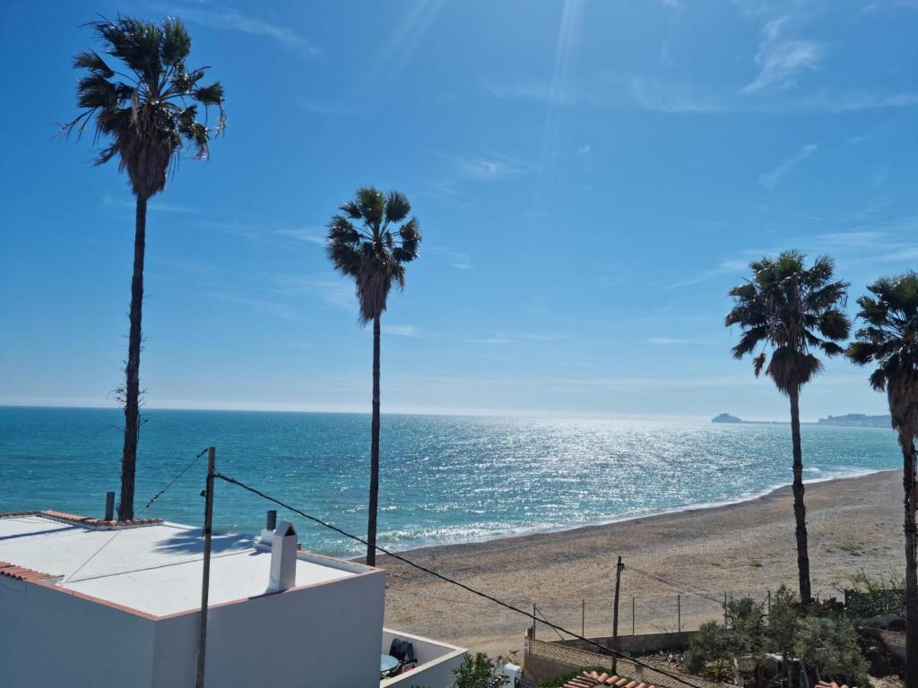 APARTAMENTO LEO photo 2