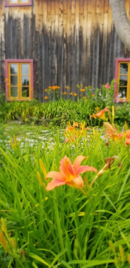 Auberge Le P'tit Bonheur photo 2