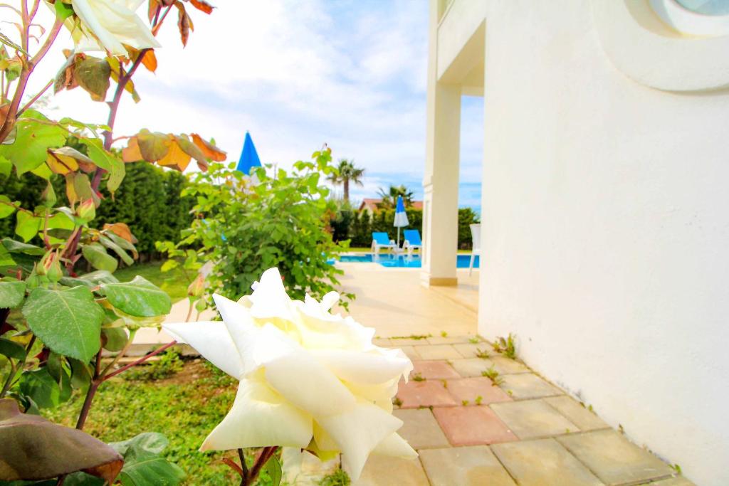 Hisarpark A Villa, Özel Havuzlu, Fethiye photo 4