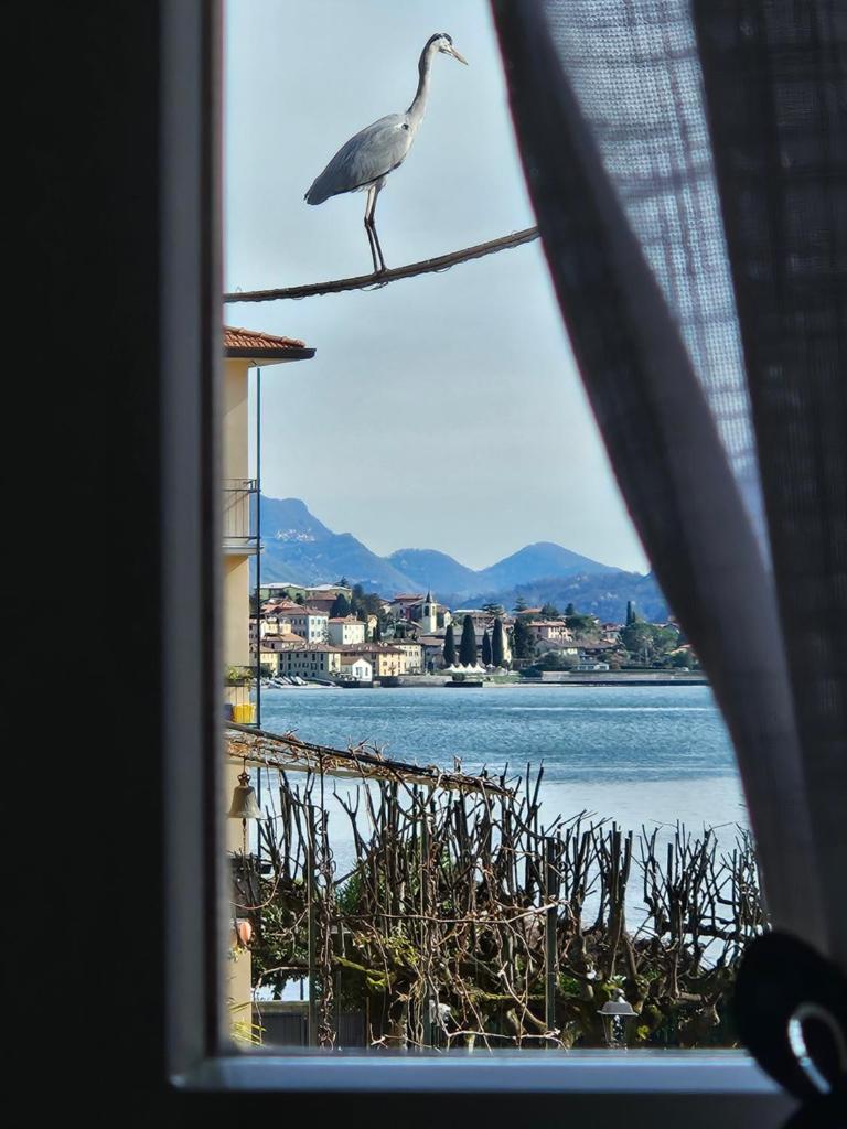 L'AIRONE - casa vacanza
