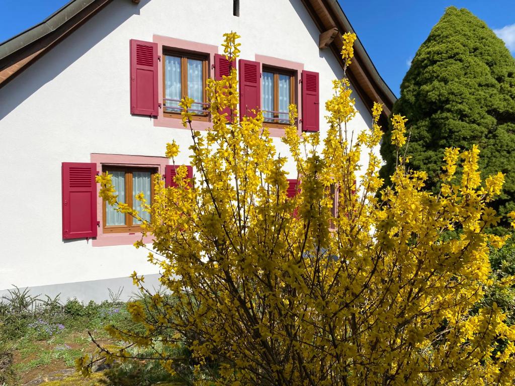 LES ROCHES DES FEES photo 1