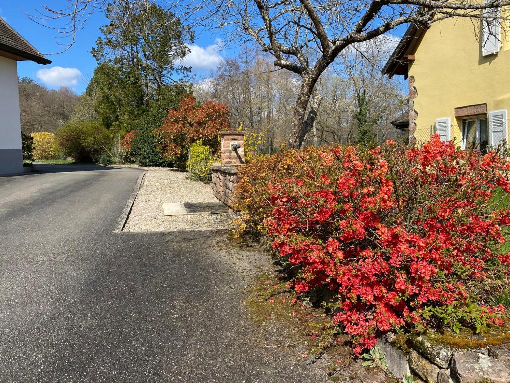 LES ROCHES DES FEES photo 3