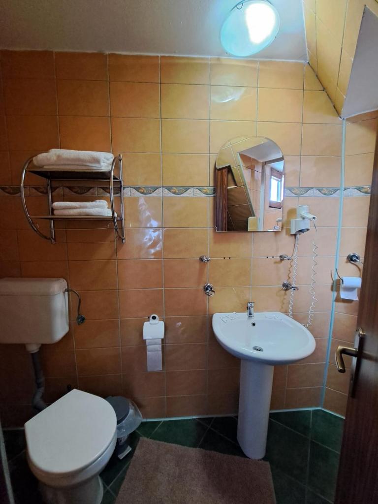 Hotel Pescarus Port Bicaz photo 3