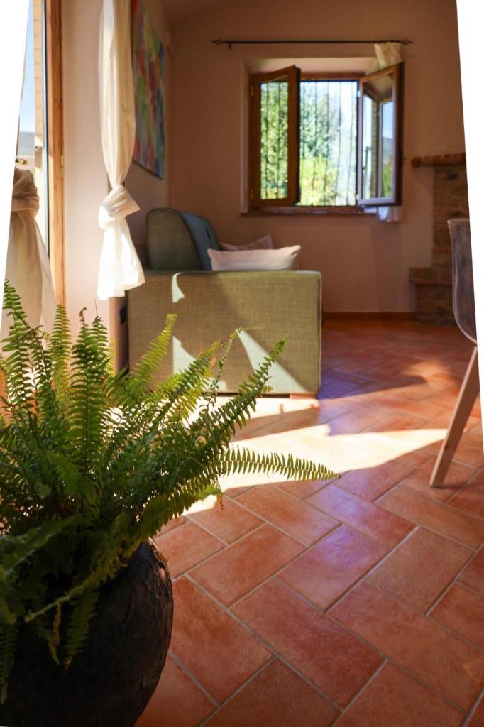 Borgo le Balze photo 2
