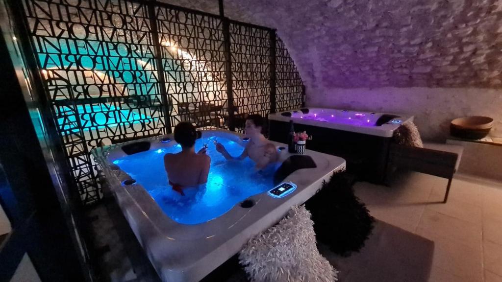 Château de Jallanges & Spa à Vouvray - 1h de spa incluse par jour photo 2