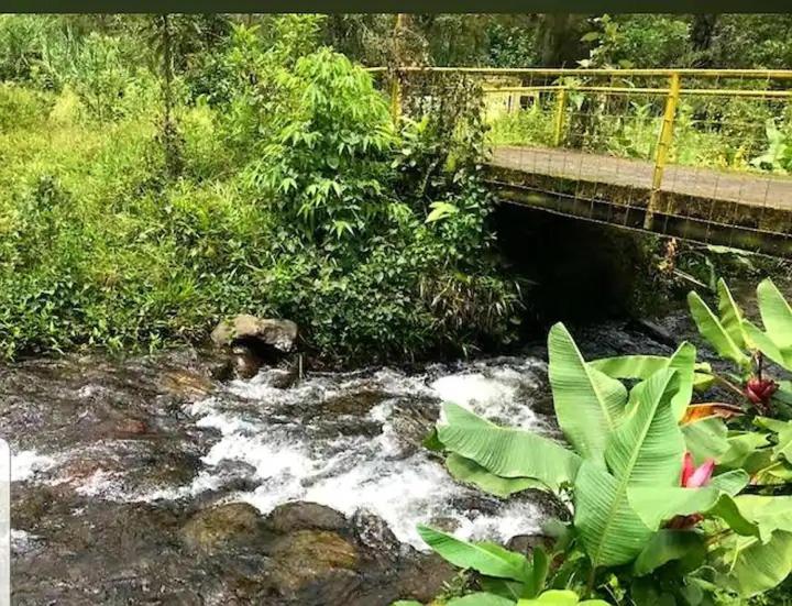 Casa de campo en el bosque de Mindo, junto al río photo 1