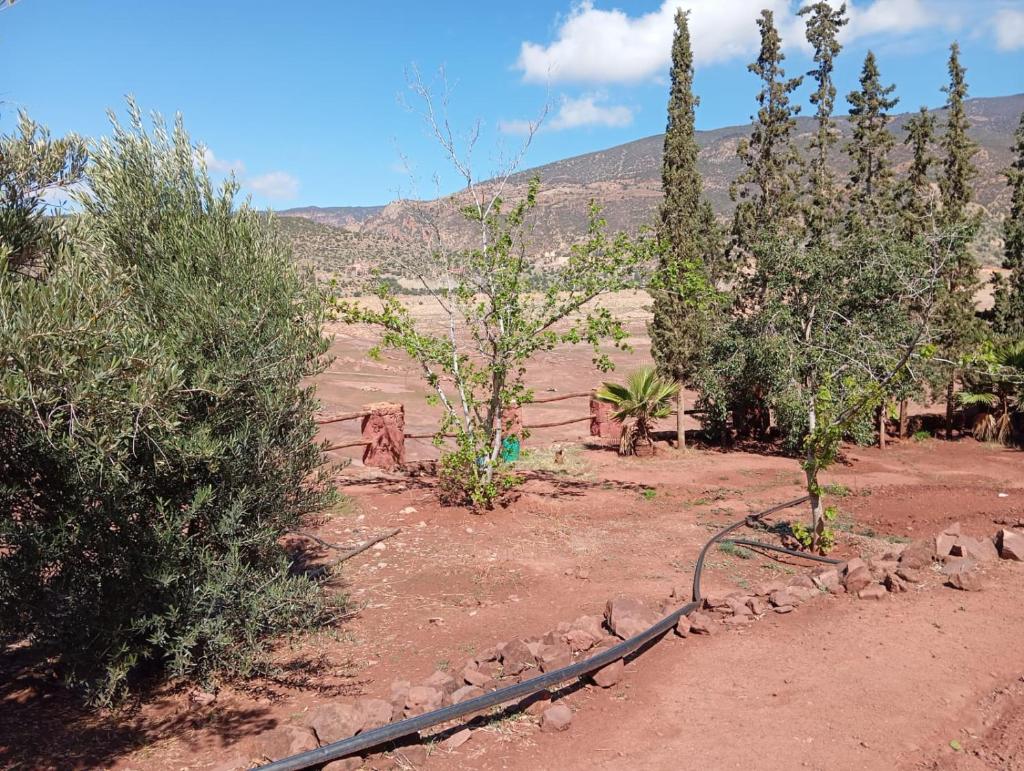 Villa El Ghriss photo 2