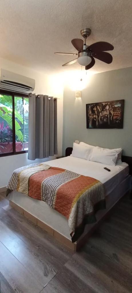 Massai Apartments photo 4