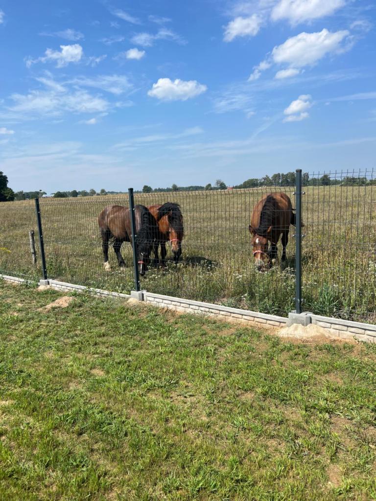 Domek nad stawem photo 1