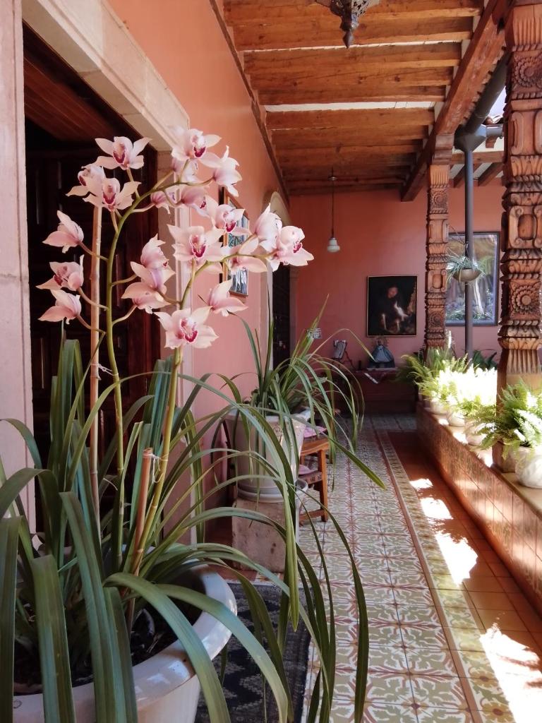 La Casa B & B photo 3