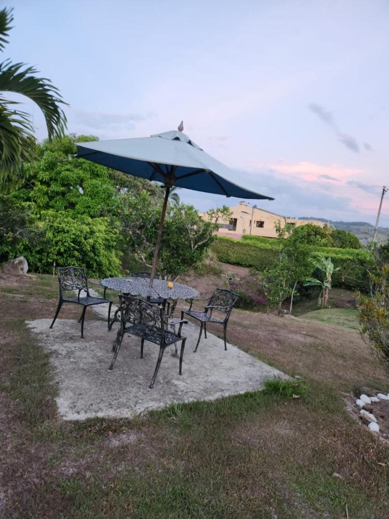 Oasis calima photo 1