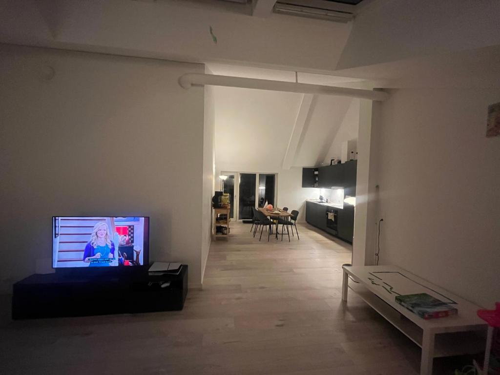 Copenhagen (Søborg) photo 3