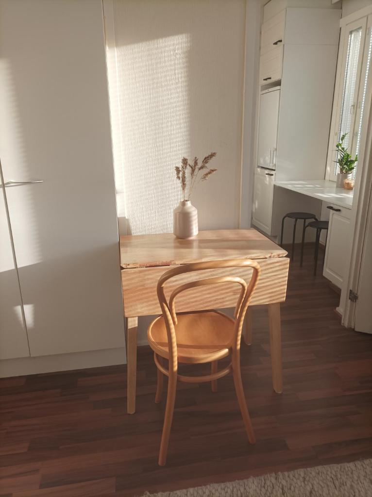 Viihtyisä ja valoisa yksiö keskustan läheisyydessä photo 4
