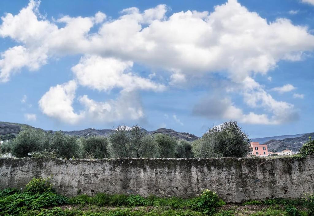 Riobasco Guesthouse photo 1