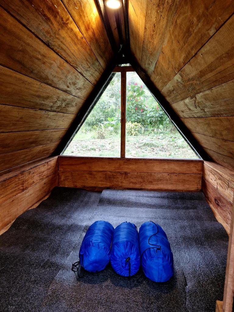 Camping La Penal photo 2