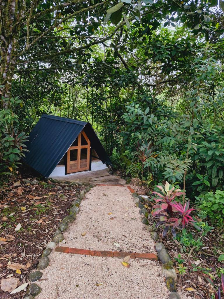 Camping La Penal photo 3