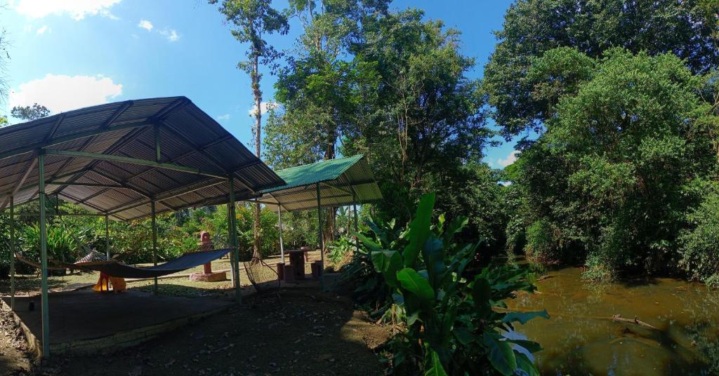 Finca La Paz photo 2