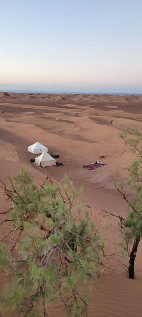 Adventure dans le desert photo 1