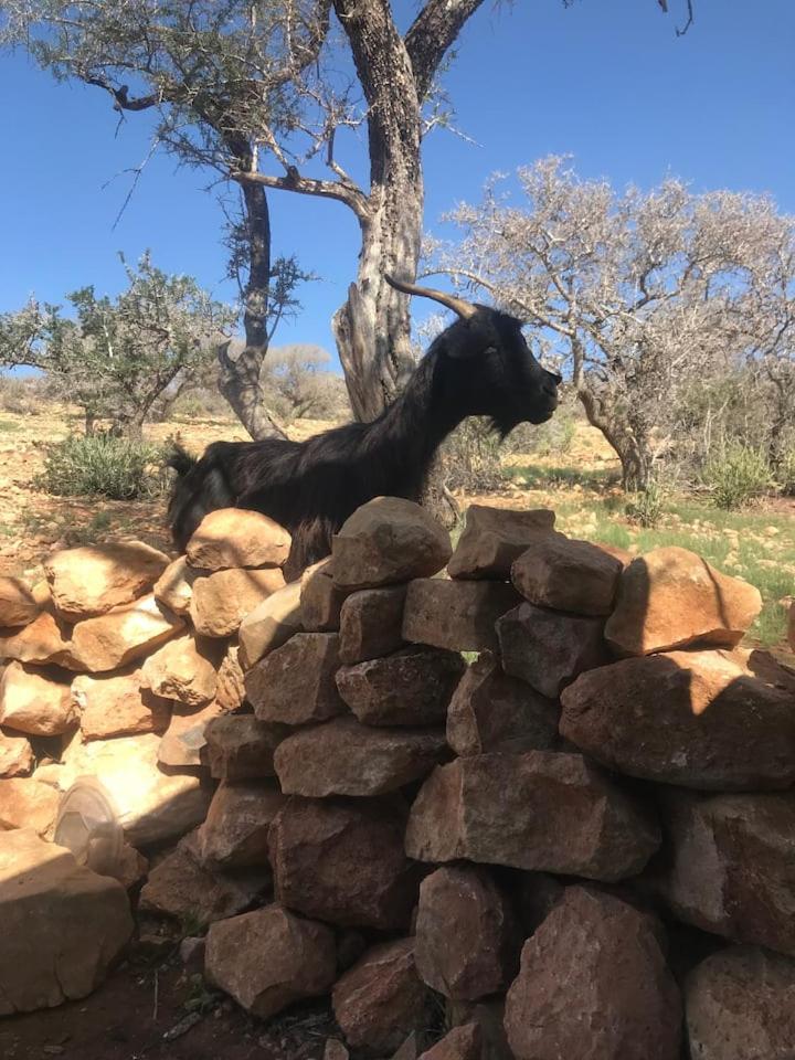 Pedro's camp photo 3