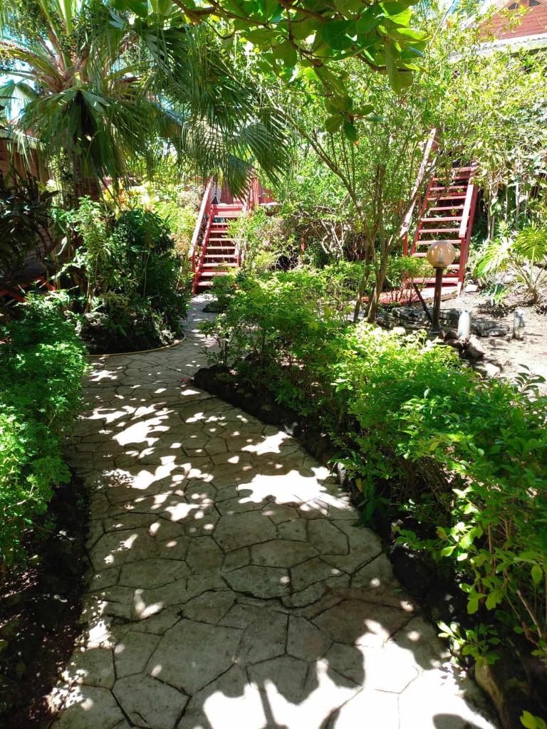 Pension LE PASSAGE vue jardin photo 2